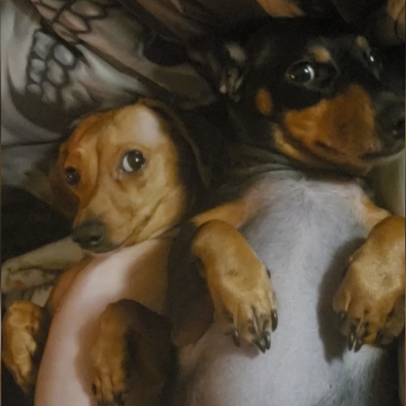 Meet your Posher, Freddy - Picture 6 of 6